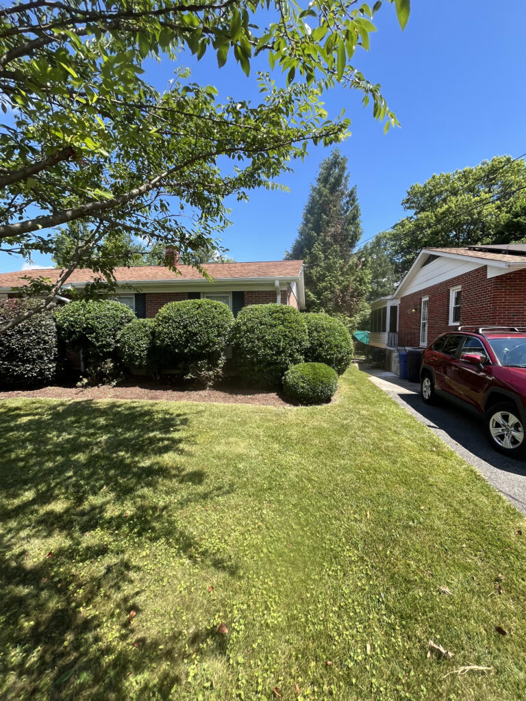 Landscaping project